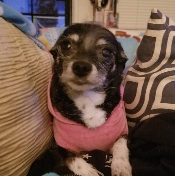 Meet your Posher, D'anna - Picture 1 of 1